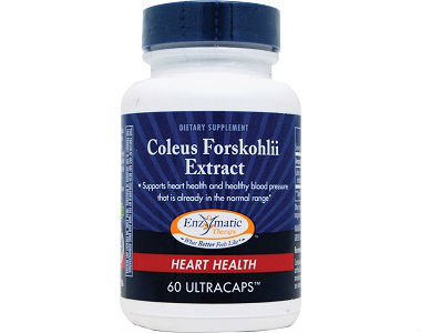 Enzymatic Therapy Coleus Forskohlii Weight Loss Supplement Review