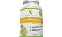 Holistic Solutions Garcinia Cambogia Review