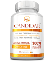 Candidar Review